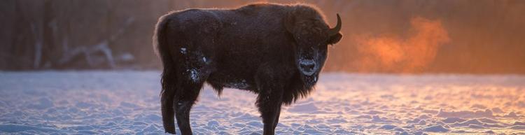 Relaxing app background